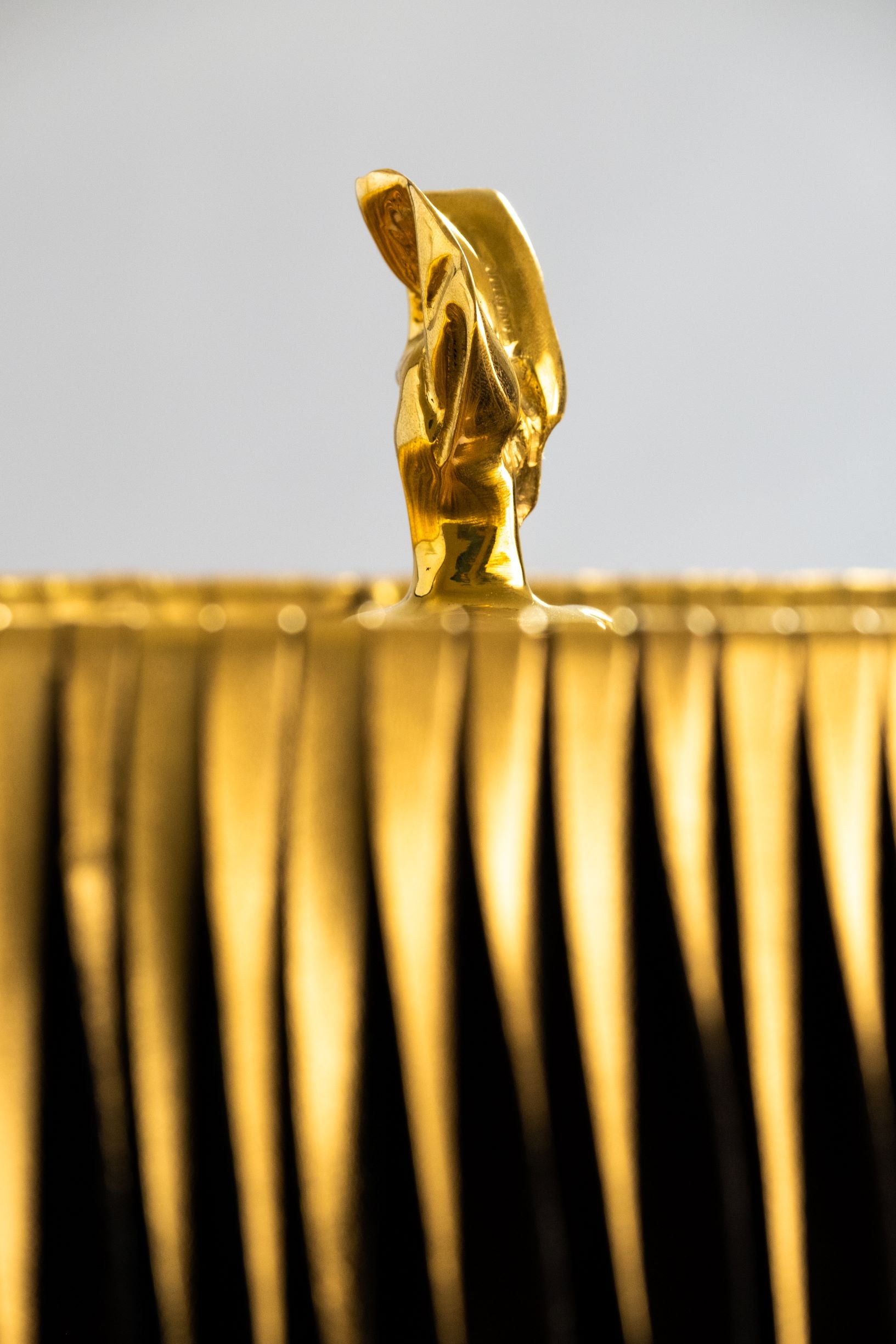 Charta Nera - studiopalatin