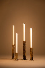 Load image into Gallery viewer, Arbor Bronze - Set of 4 Candlesticks - studiopalatin

